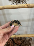 Broche f abanico piedras