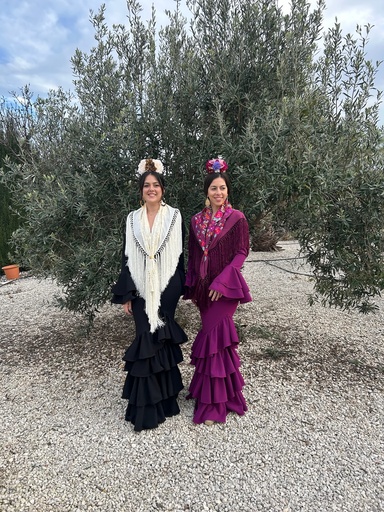 vestido flamenca Abril
